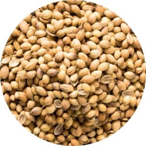 alleswurst-gewuerze-rohgewuerze-koriander-ganz