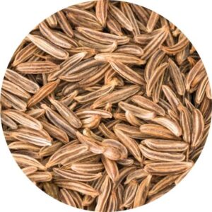 alleswurst-gewuerze-rohgewuerze-kuemmel-ganz